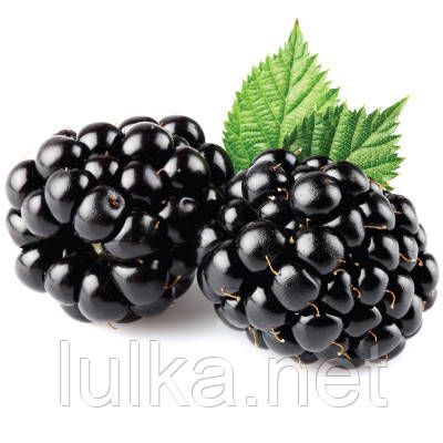 Ароматизатор TPA Blackberry (Ожина) 10мл. Ароматизатор TPA Blackberry (Ожина) 10мл.