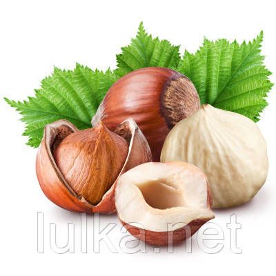 Ароматизатор TPA Dx Hazelnut (Фундук) 10мл. Ароматизатор TPA Dx Hazelnut (Фундук) 10мл.