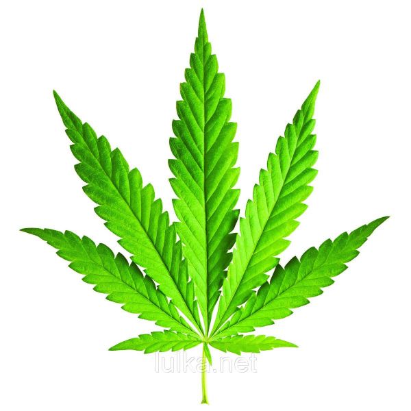 Ароматизатор TPA Mary Jane (Мері Джейн) 10мл. Ароматизатор TPA Mary Jane (Мері Джейн) 10мл.