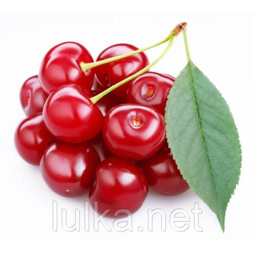 Ароматизатор TPA Cherry Extract (Ніжна Вишня) 10мл. Ароматизатор TPA Cherry Extract (Ніжна Вишня) 10мл.