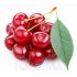 Ароматизатор TPA Cherry Extract (Ніжна Вишня) 5мл.