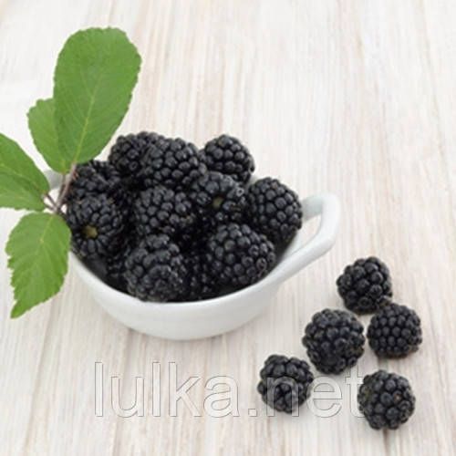 Ароматизатор TPA Boysenberry (Шовковиця) 5мл. Ароматизатор TPA Boysenberry (Шовковиця) 5мл.