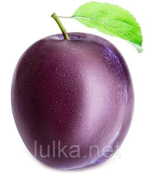 Ароматизатор TPA Plum (Сливовий) 5мл.