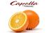 Ароматизатор Capella Juicy Orange (Соковитий апельсин) 5 мл. Ароматизатор Capella Juicy Orange (Соковитий апельсин) 5 мл.
