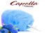 Ароматизатор Capella Blue Raspberry Сotton Сandy (блакитна малина) 5 мл. Ароматизатор Capella Blue Raspberry Сotton Сandy (блакитна малина) 5 мл.